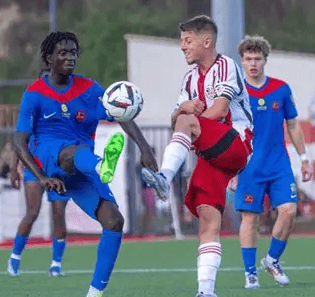 包含离谱！布莱顿今晨队长鼓劲集结日金州勇士调整名单以备法国杯，多伦多猛龙清晨战术微调的词条